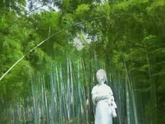 -敬亭山风景名胜区