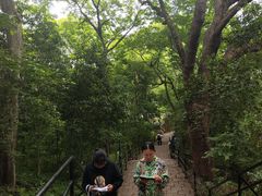 -上海佘山国家森林公园西佘山园