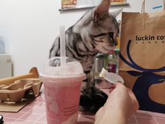 -瑞幸咖啡(永康公寓店)