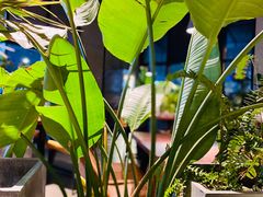 -West10 西拾·西餐厅·创意菜(未来科技城店)