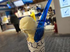 -西琳姑娘·新疆冰淇淋酸奶茶(南开大悦城店)