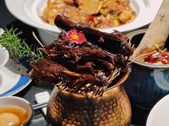 -凤凰湘语(浦东旗舰店)