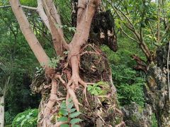 -海兰云天度假区温泉