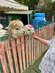 -萌宠亲子动物乐园(槐房万达店)