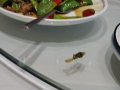 -中心君度酒店泰礴美食会馆