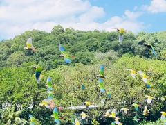 -深圳野生动物园