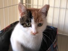 -萌兽医馆·犬猫专科·眼科中心·宠物医院(朝阳门分院)