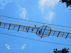 -丹东天桥沟景区