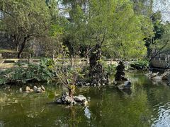 -国恩寺
