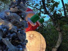 -弦月窗LUNETTE BY AMANDA(复兴路店)