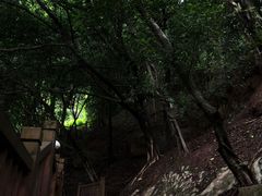 -龙泉洞(沙坪坝区)