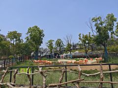 -武汉动物园