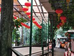 -呀诺达热带雨林