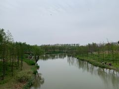 -上海长兴岛郊野公园