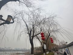 -济南大明湖景区