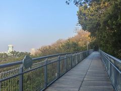 -佛山华盖山公园