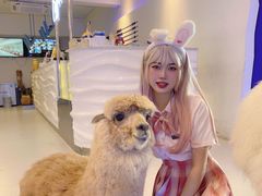-Blue Concept Cafe&Farm·關於藍