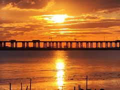 -宝安西湾红树林湿地公园