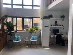 -安那般那皮肤年轻化ANAPANA