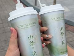 -雾与山茶(大禹城店)