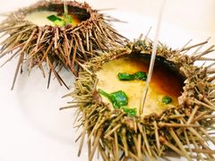 海胆蒸蛋-海岛渔村大酒店(云霄路店)
