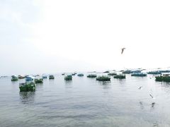 -抚仙湖禄充风景区