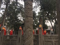 -关林