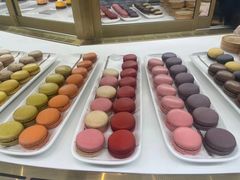 -PAUL LAFAYET 法式甜品(港汇广场店)