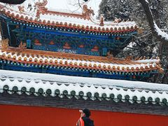 -北京国子监胡同