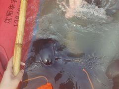 -长泰漂流水陆空景区