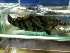 -覃记海鲜美食餐厅