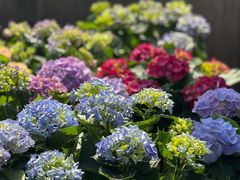 -MONICH牛排融合餐厅(和义大道购物中心店)