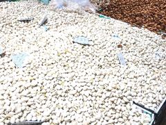 -绿篮子(寿春路店)