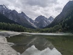 -金鼎雪山牦牛杂火锅(理县总店)