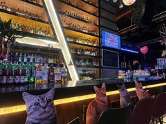 -Famous肥猫墨西哥音乐餐吧(五棵松华熙LIVE店)