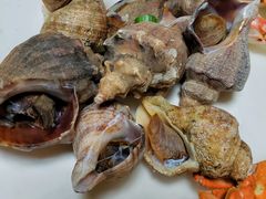 海螺-大梁骨头馆·酱骨老菜(友好店)