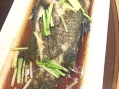 -上海圣诺亚皇冠假日酒店·诺亚厨房