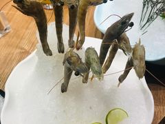 -尚海豆捞(乐虹坊店)