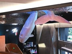 -虾胡闹龙虾馆(湄南河店)