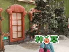 -长沙湘江冰雪世界