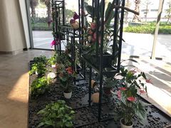 -广州绿地中央广场