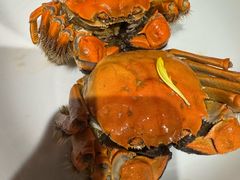 -食廬(浦东嘉里城店)