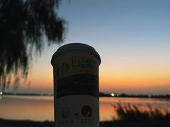 -漕湖湿地公园
