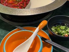 鸳鸯锅-麻田会 ·鲜活现烹·牛蛙火锅(珠江新城维家思广场店)