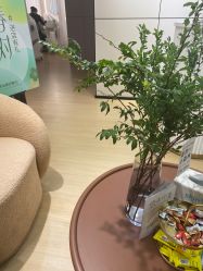 -skin79皮肤管理中心