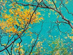 -叠溪松坪沟景区