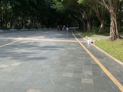 -深圳国际园林花卉博览园