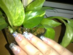 201209081290-爱嘉生活美甲美睫纹绣半永久