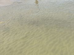 -汕尾风车岛
