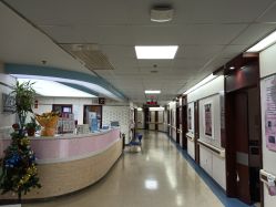 -复旦大学附属妇产科医院(杨浦院区)